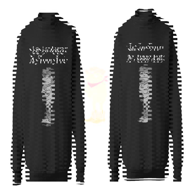 Not Now Partner My Tummy Hurts Sweatshirt