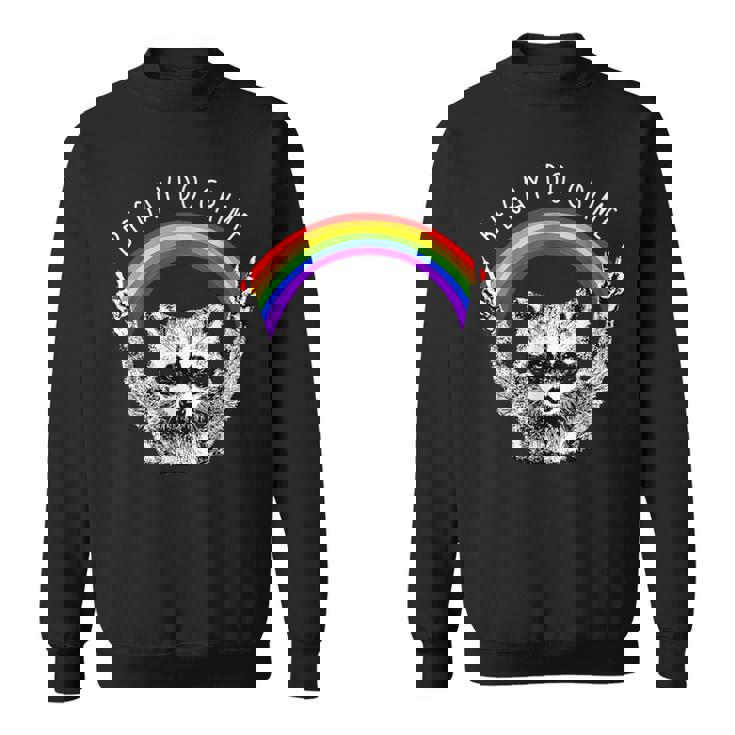 Raccoon LGBTQ Pride Sweatshirt - Rainbow Theme for Equality