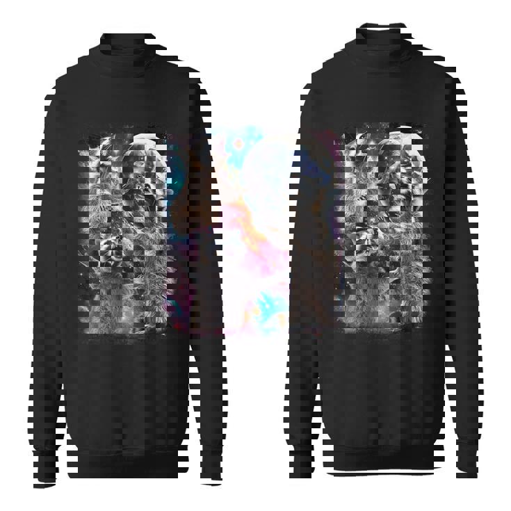 Three Raccoon Moon Sweatshirt - Whimsical Nighttime Design