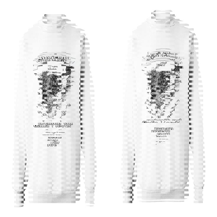 Bear Spirit Animal Totem Guardian Of The World Sweatshirt
