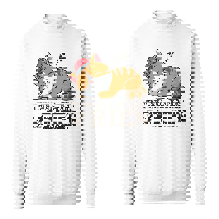 Chat Humour Travail À Faire Rien Idée Sommeil Flemme Sweater e