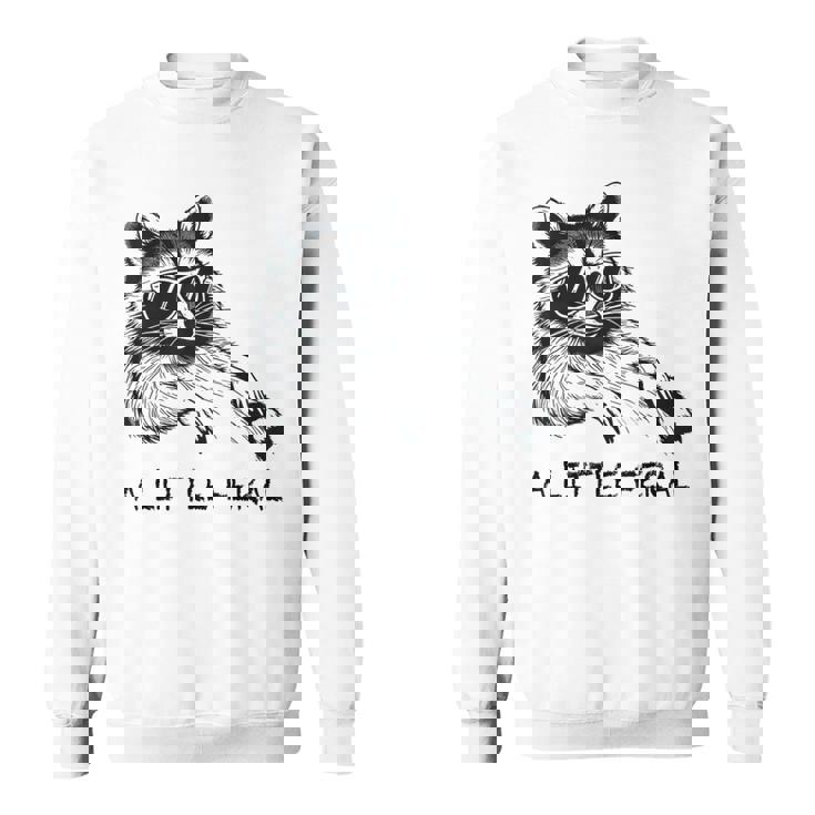 Cozy Raccoon Sweatshirt - Animal Moon Design | Unisex Trash Panda Fun