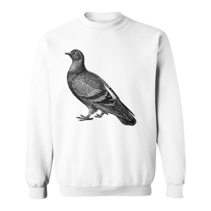 Editionintage English Pigeon Gray Sweatshirt