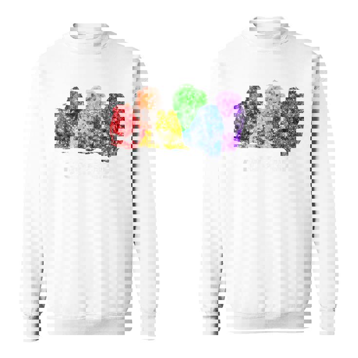 Gay Pride Lions LGBT Rainbow Flag Vintage Sweatshirt