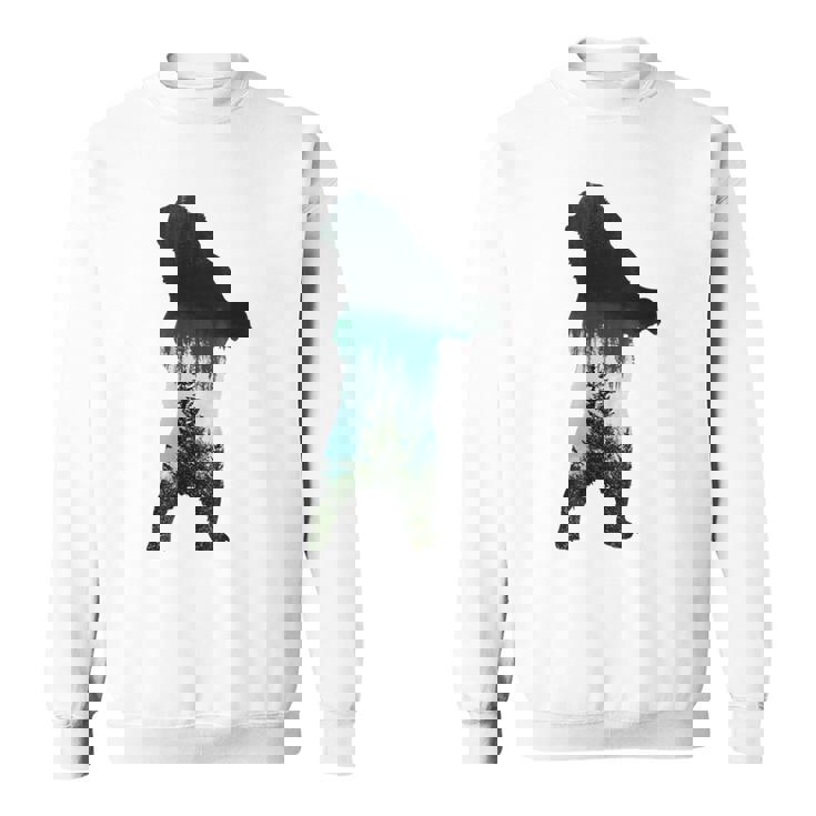 Image Ours Nature Animaux Sauvages Montagne Sweater e