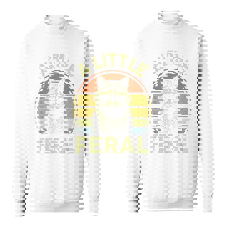 Retro Raccoon Graphic Tee - Unisex Crew Neck for Enthusiasts