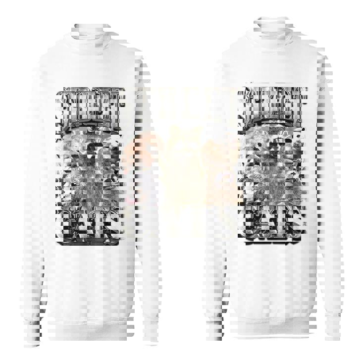 Retro Raccoon Sweatshirt - Unhinged Nature Theme for Summer Adventures