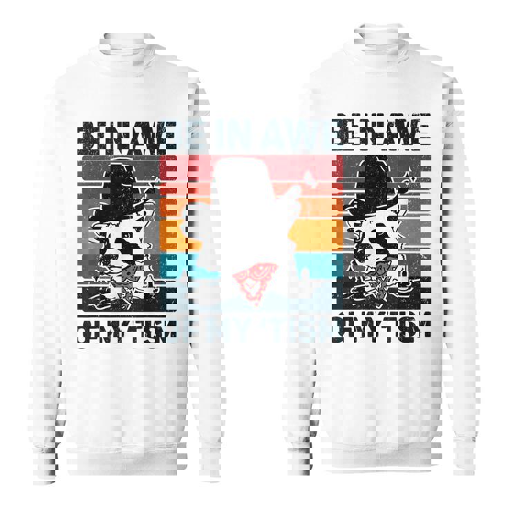Vintage Autism Raccoon Sweatshirt - Celebrate Uniqueness