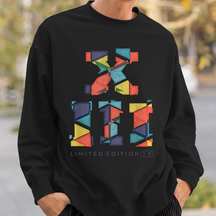 13 Jahre Geburtstag Splitter Limited Edition Römische Zahlen Sweatshirt Geschenke für Ihn