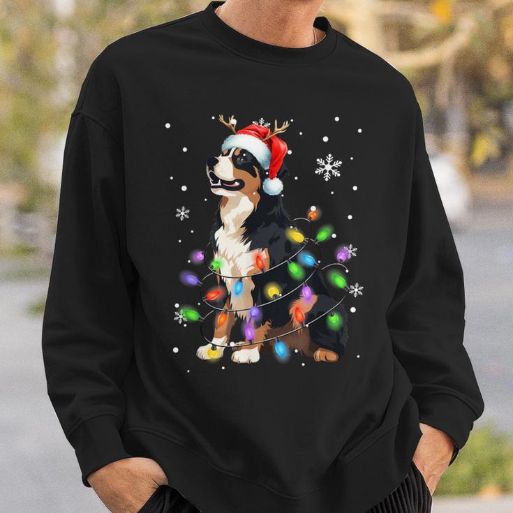 Bernese Mountain Dog Christmas Jumper Xmas Lights Sweatshirt Geschenke für Ihn