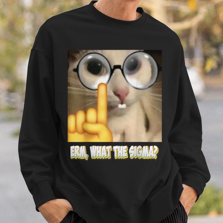 Cat Ehm Was Zum Sigma Cat Meme Sweatshirt Geschenke für Ihn