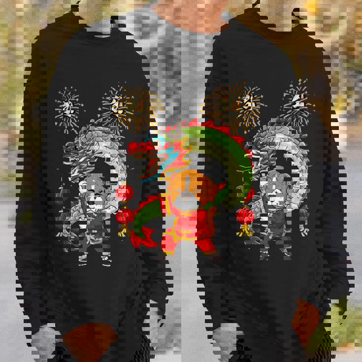 Chinese New Year Zodiac Animals Year Of The Dog Chinese Lunar New Year Dog Sweatshirt Gifts for Him