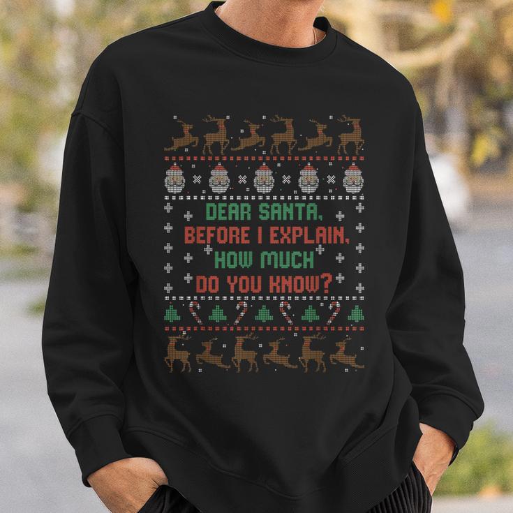 Dear Santa Before I Explain How Much Do You Know Sweatshirt Geschenke für Ihn