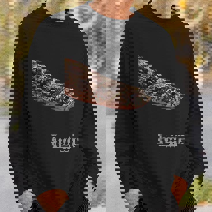 Hognose SnakeShirt Hakennasennatter Sweatshirt Gifts for Him