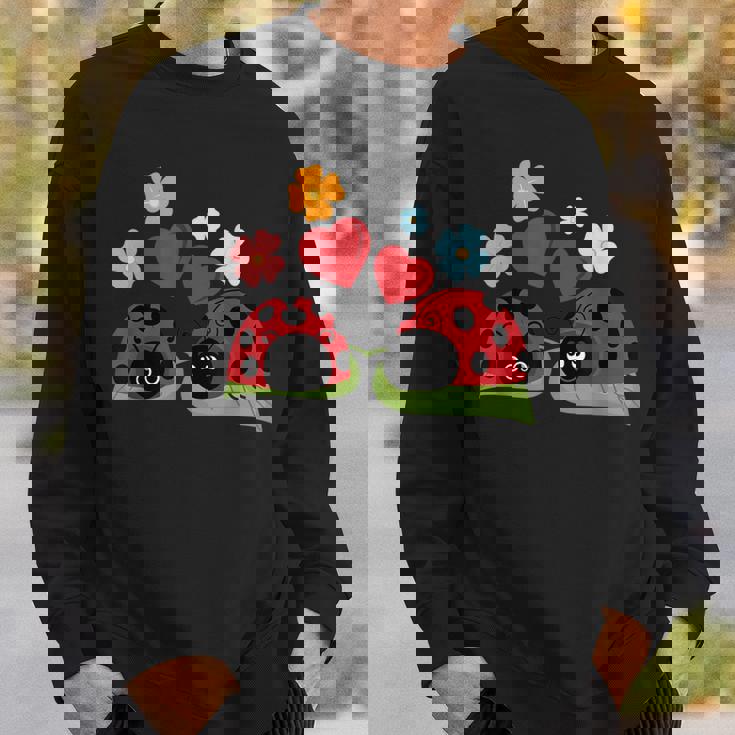 Marienkäfer Liebe I Insekt Niedlich Siebenpunkt Käfer Kinder Sweatshirt Geschenke für Ihn