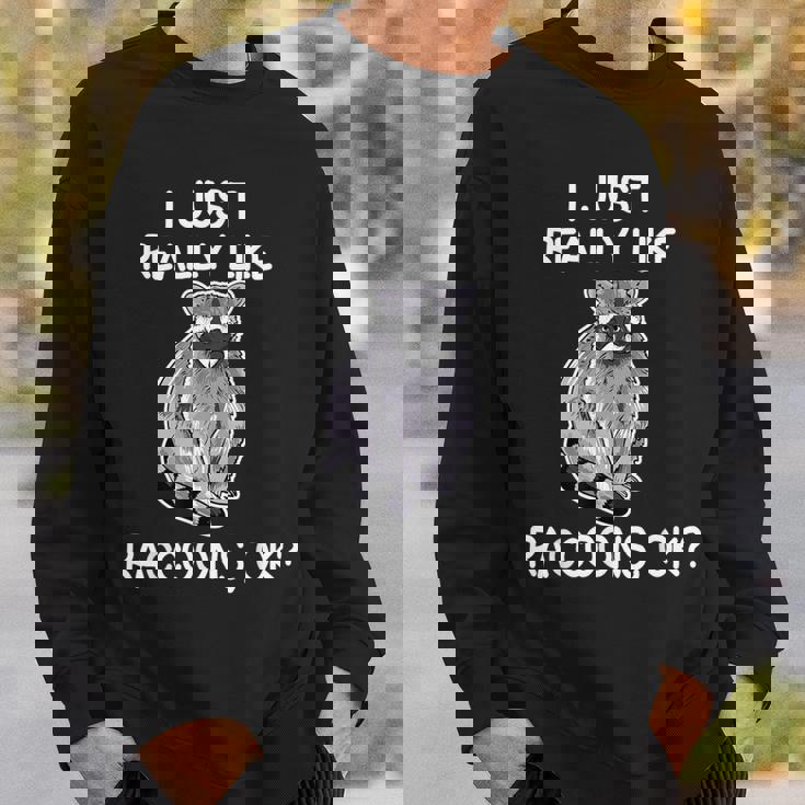 Raccoon Lover Sweatshirt – Cozy Wildlife-Inspired Apparel Gifts for Him