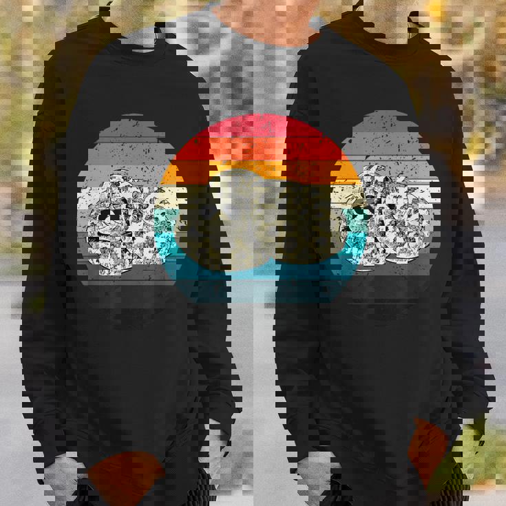 Retro Vintage Hognose Snake With Sunglasses Herpetology Sweatshirt Gifts for Him
