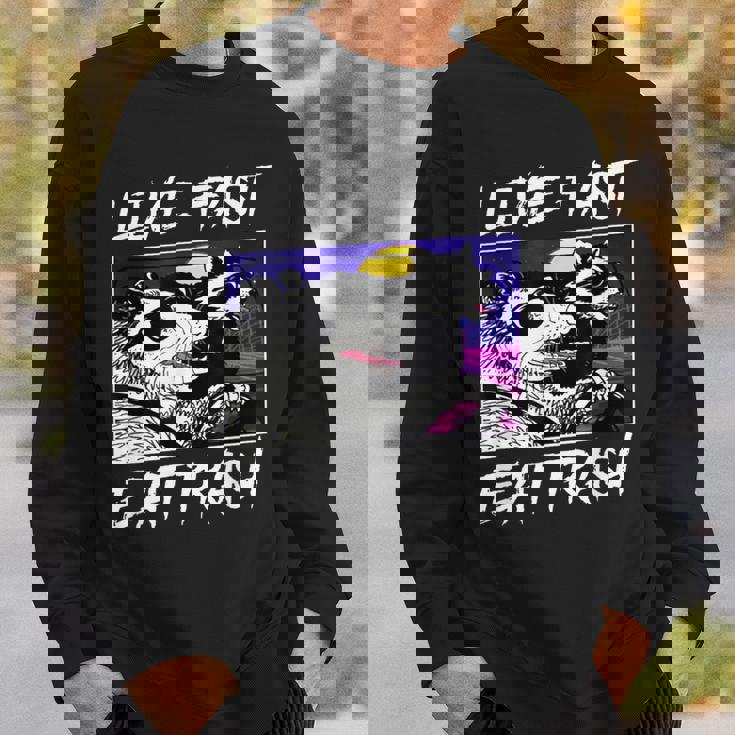Street Cats & Trash Pandas Sweatshirt - Fun Cotton Blend for Adults Gifts for Him