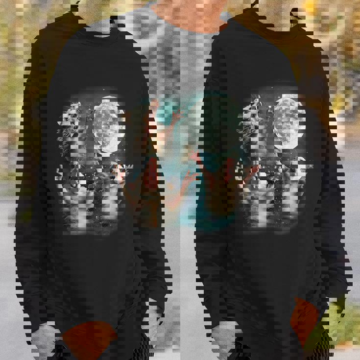 Three Possum Moon 3 Opossum Weird Cursed Meme Sweatshirt Gifts for Him