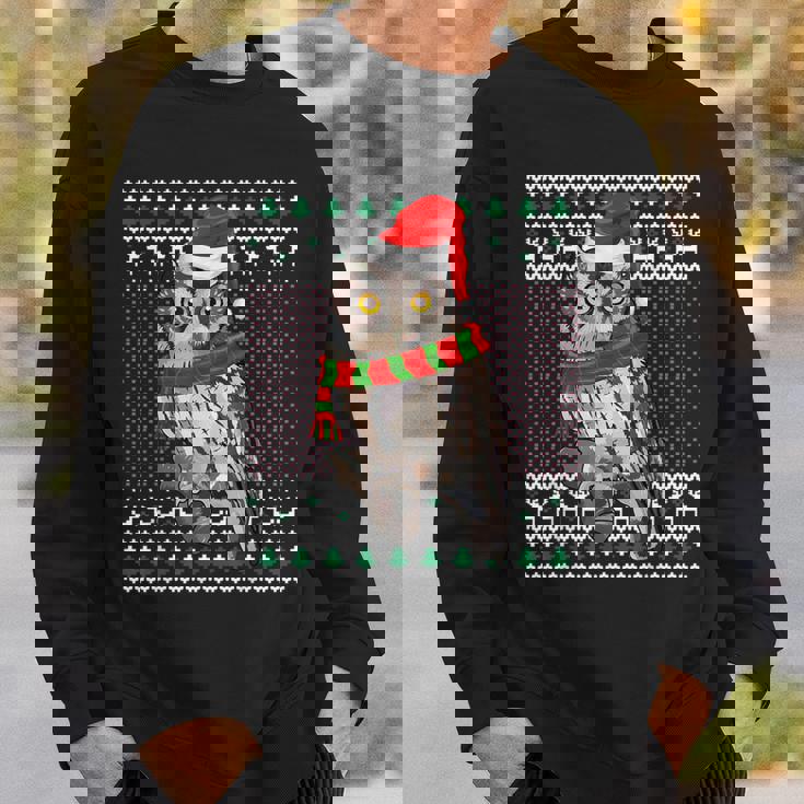 Xmas Santa Hat Whiskered Screech-Owl Ugly Christmas Sweatshirt Gifts for Him