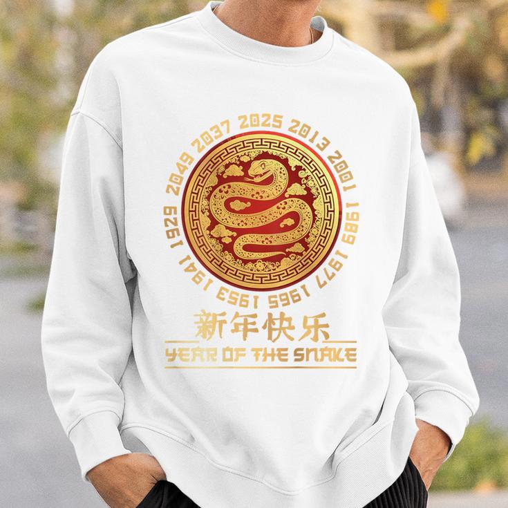 Chinese New Year 2025 Year Of The Snake On Back Sweatshirt Geschenke für Ihn