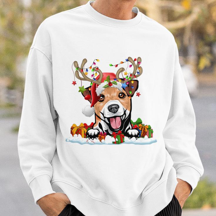 Dog Lover Dog Jumper Jack Russell Daniel Sweatshirt Geschenke für Ihn