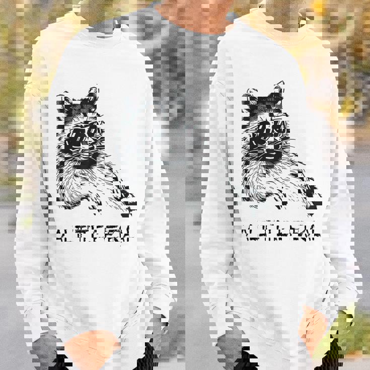 A Little Feral Raccoon With Moon Animal Raccoon Trash Panda Sweatshirt Gifts for Him