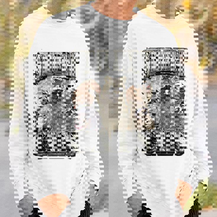 Retro Raccoon Sweatshirt - Unhinged Nature Theme for Summer Adventures Gifts for Him