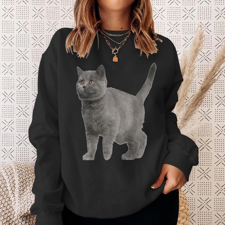 British Short Hair Cat Cat Cat Lovers Sweatshirt Geschenke für Sie