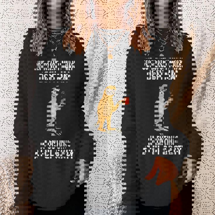 Just Because I'm Awake Doesn't Mean Sloth Lazy Sweatshirt Gifts for Her