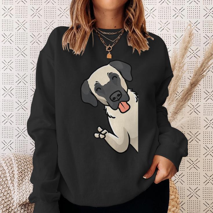 Kangal Dog Sweatshirt Geschenke für Sie