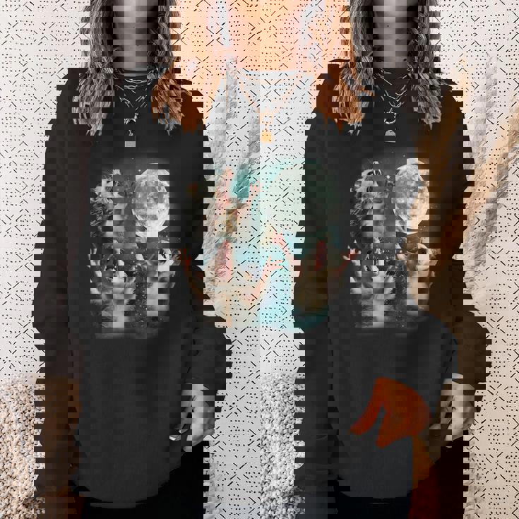 Three Possum Moon 3 Opossum Weird Cursed Meme Sweatshirt Gifts for Her