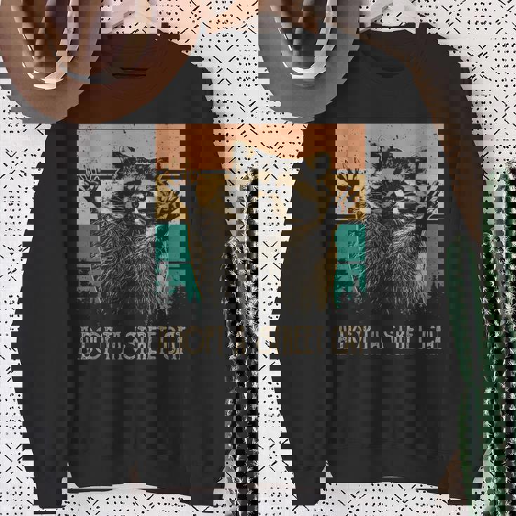 Adopt A Street Cat Animal Lover Sweatshirt | Artistic Touch Gifts for Old Women