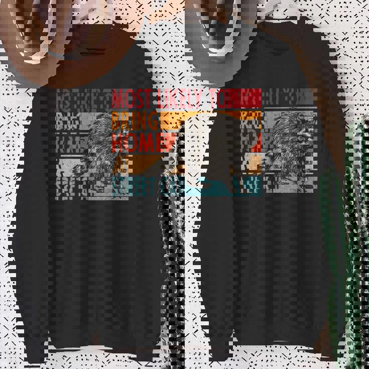 Adopt a Street Cat Sweatshirt - Funny Design for Raccoon Lovers Gifts for Old Women