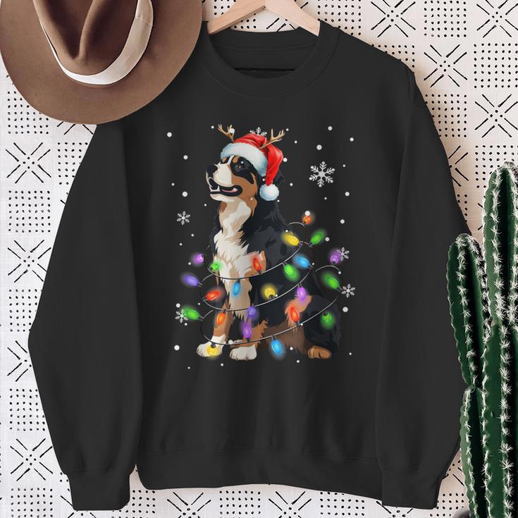 Bernese Mountain Dog Christmas Jumper Xmas Lights Sweatshirt Geschenke für alte Frauen