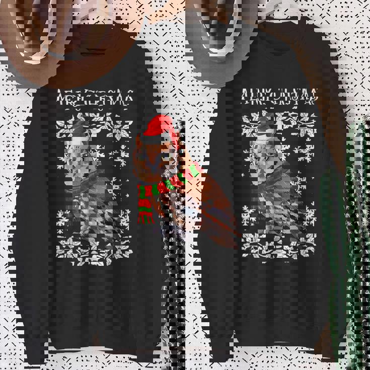Bird Merry Christmas Ornament Eastern Screech-Owl Ugly Xmas Sweatshirt Gifts for Old Women