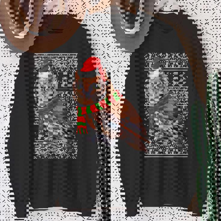 Bird Xmas Santa Hat Eastern Screech-Owl Ugly Christmas Sweatshirt Gifts for Old Women