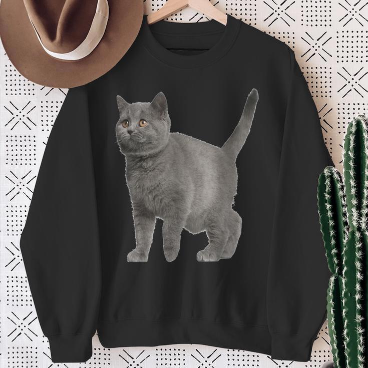 British Short Hair Cat Cat Cat Lovers Sweatshirt Geschenke für alte Frauen