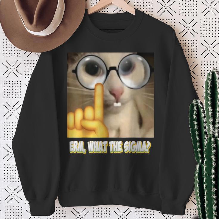 Cat Ehm Was Zum Sigma Cat Meme Sweatshirt Geschenke für alte Frauen