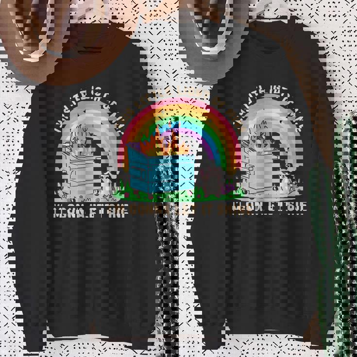 In My Feral Era Raccoon Animal Meme Racoons Team Trash Sweatshirt Gifts for Old Women