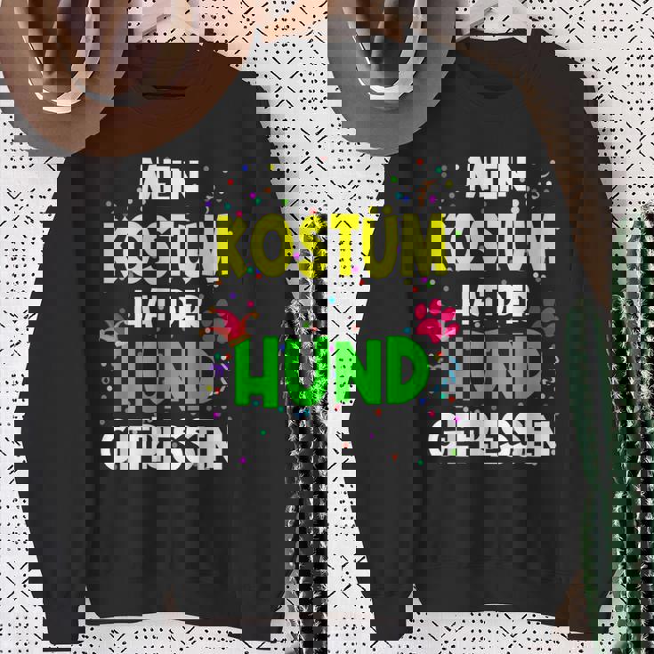 Mein Kostüm Hat Der Hund Gefressen For Carnival S Sweatshirt Geschenke für alte Frauen
