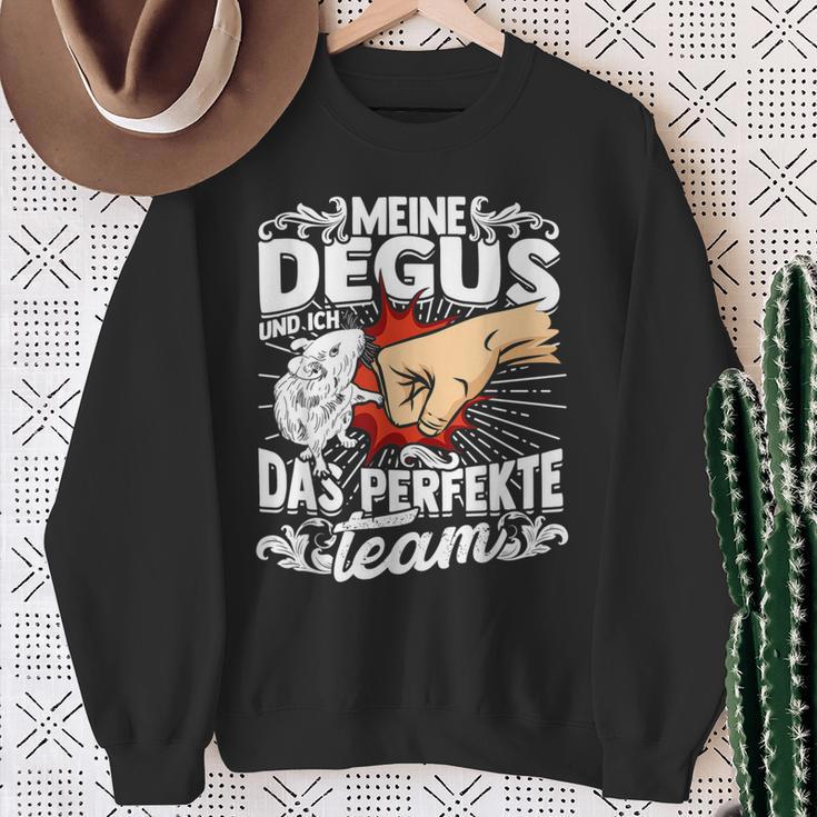 Meine Degus And Ich Das Perfekte Team Shrauchrat Degu Sweatshirt Geschenke für alte Frauen