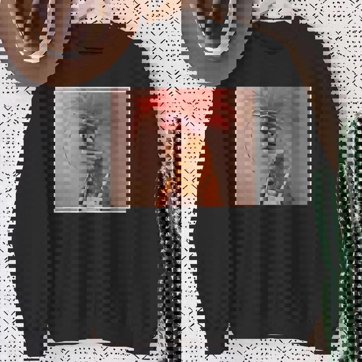 Pepe The Meme King Sweatshirt Gifts for Old Women