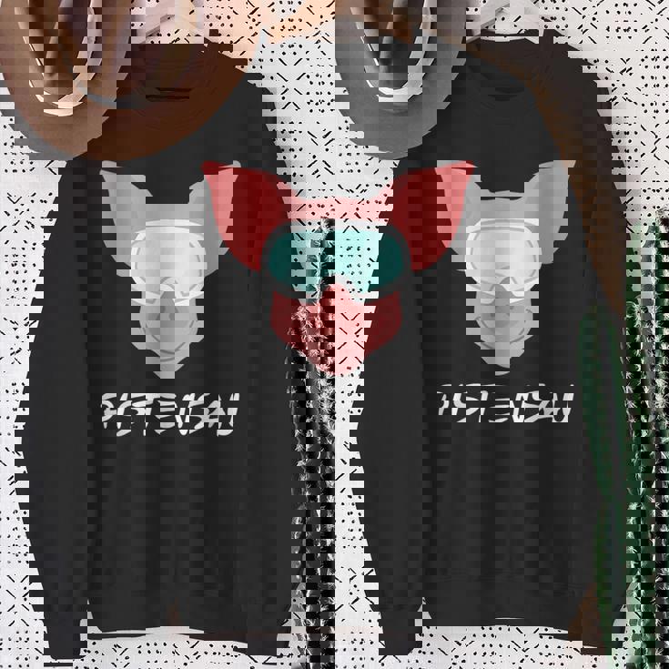 Pistensau Apres Ski Skiing Holiday Sweatshirt Geschenke für alte Frauen