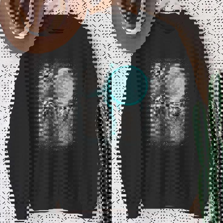 Raccoon Sweatshirt - Quirky Moonlit Trio Howl Design - Unisex Gifts for Old Women