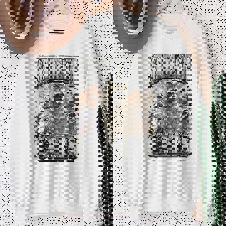Retro Raccoon Sweatshirt - Unhinged Nature Theme for Summer Adventures Gifts for Old Women