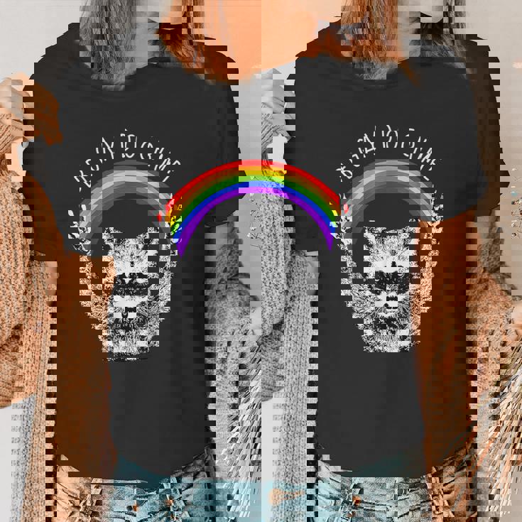 Raccoon LGBT Pride Women's T-Shirt - Be Gay, Celebrate Diversity