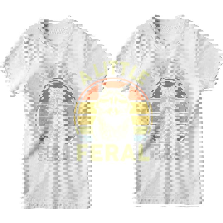 Retro Raccoon Graphic Tee - Family Gift | Kids, Teens & Adults
