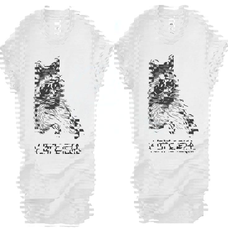 Raccoon & Moon Graphic Unisex Jersey T-Shirt | Cute Animal Design