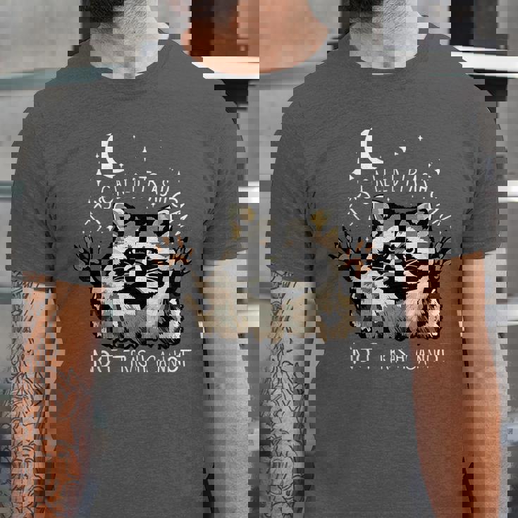 Funny Raccoon T-Shirt - Unisex Jersey - Quirky Humor Theme